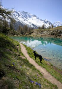 lac bleu in Val d'Hérens, Switzerland